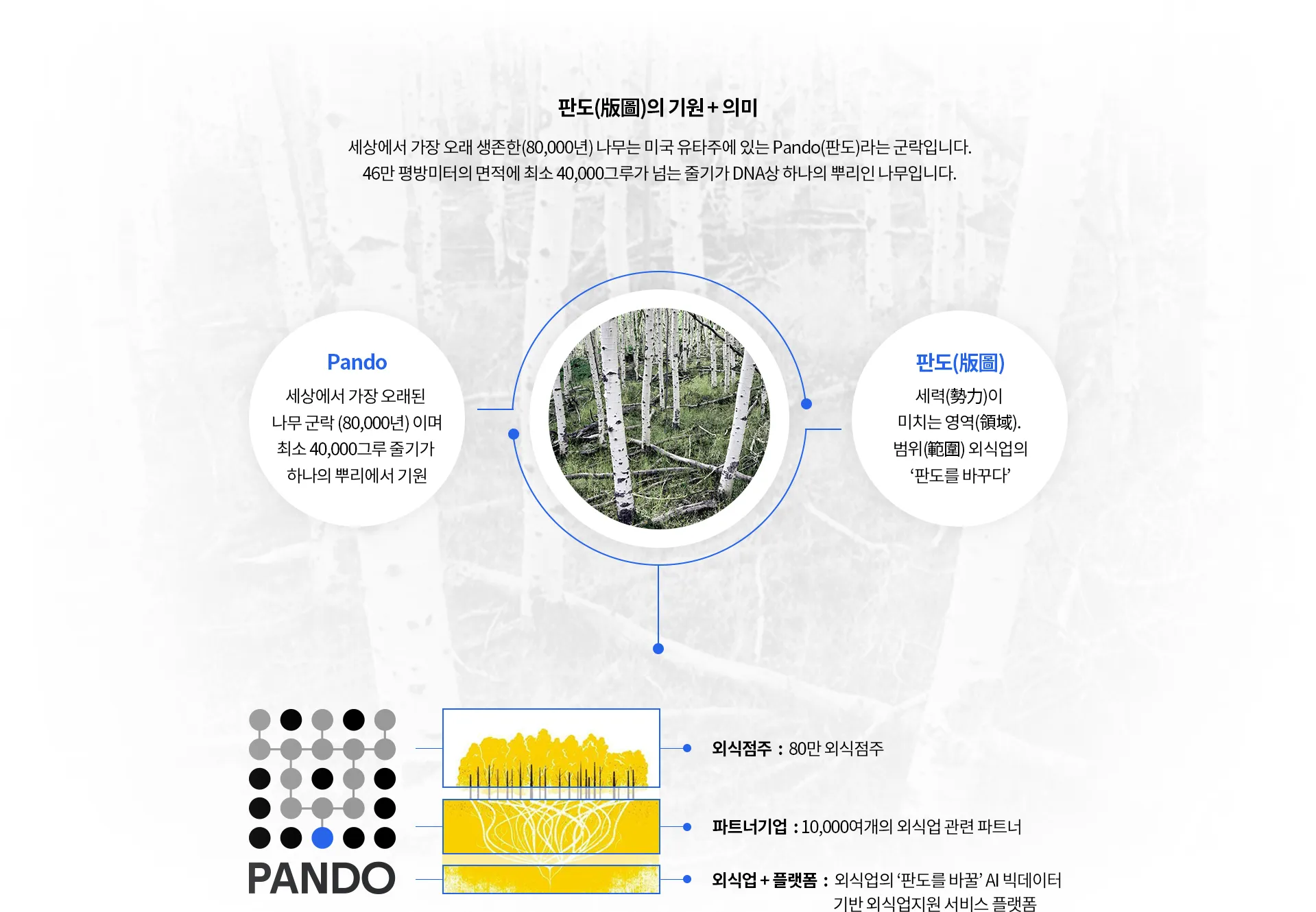 판도(版圖)의 기원과 의미: Pando는 미국 유타주에 있는 세상에서 가장 오래된(80,000년) 나무 군락으로 최소 40,000그루 줄기가 하나의 뿌리에서 기원하며, 판도(版圖)는 세력이 미치는 영역을 뜻합니다. 외식점주(80만 외식점주), 파트너기업(10,000여개의 외식업 관련 파트너), 외식업+플랫폼(AI 빅데이터 기반 외식업지원 서비스 플랫폼)