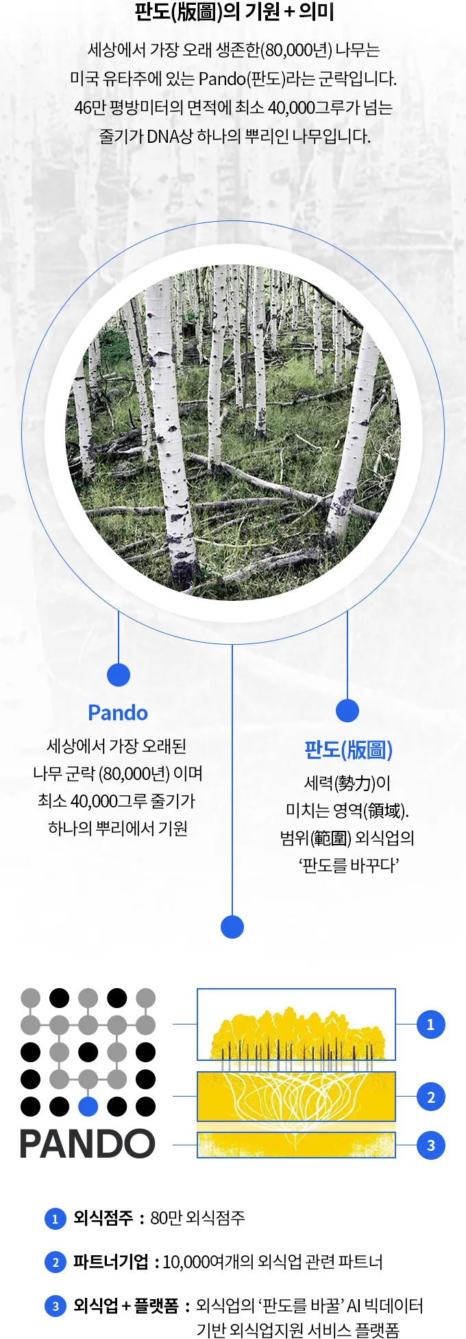 판도(版圖)의 기원과 의미: Pando는 미국 유타주에 있는 세상에서 가장 오래된(80,000년) 나무 군락으로 최소 40,000그루 줄기가 하나의 뿌리에서 기원하며, 판도(版圖)는 세력이 미치는 영역을 뜻합니다. 외식점주(80만 외식점주), 파트너기업(10,000여개의 외식업 관련 파트너), 외식업+플랫폼(AI 빅데이터 기반 외식업지원 서비스 플랫폼)